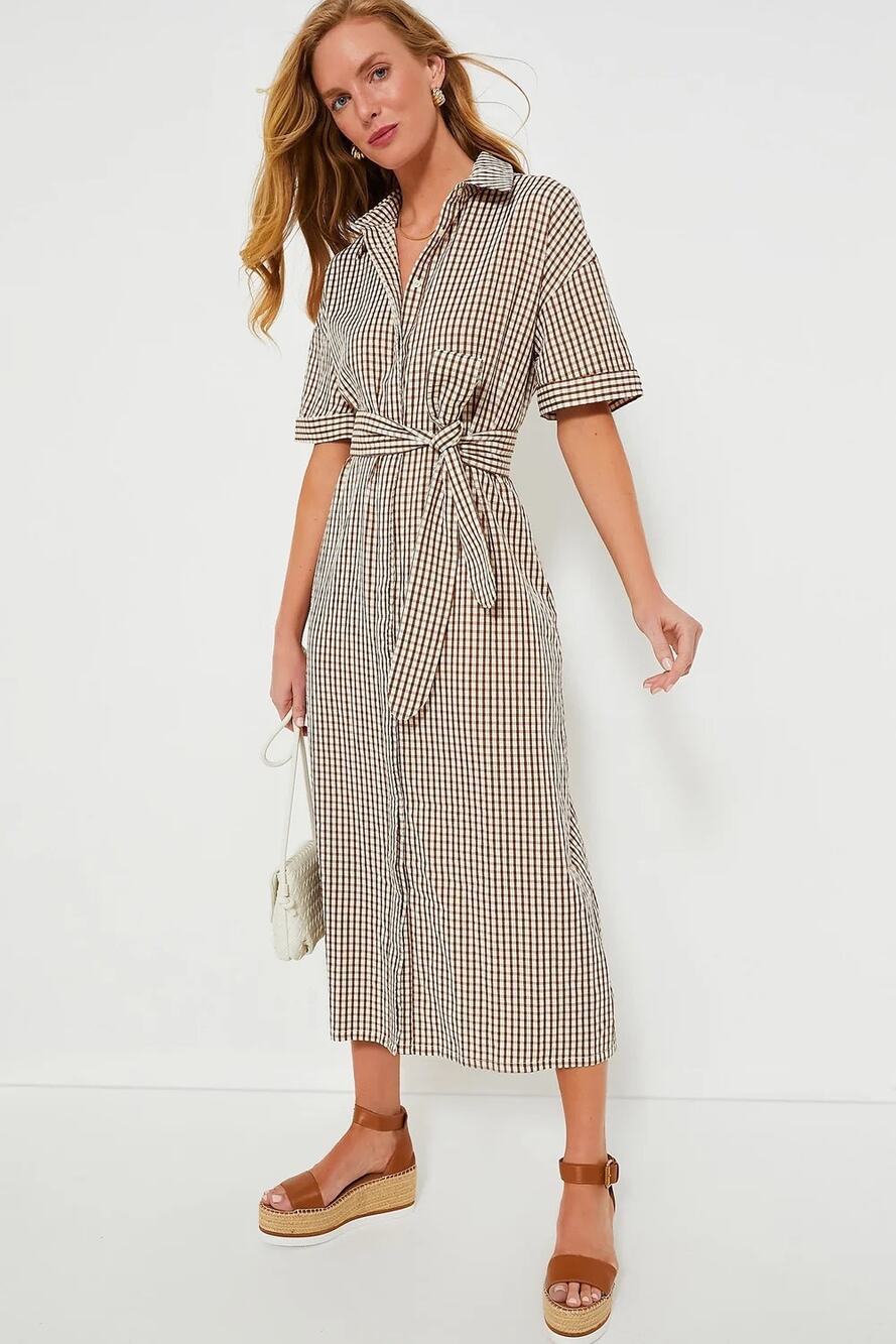 Tuckernuck Pomander Place Brown Gingham Seersucker Zacara Dress L